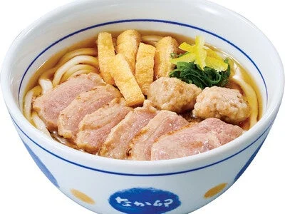 なか卯の鴨うどん(盛り付け例)