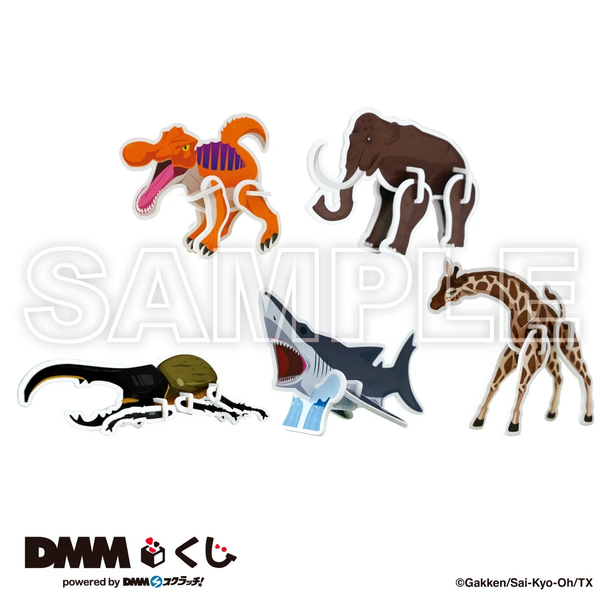 F賞 我こそが最強!立体パズルの全5種デザイン