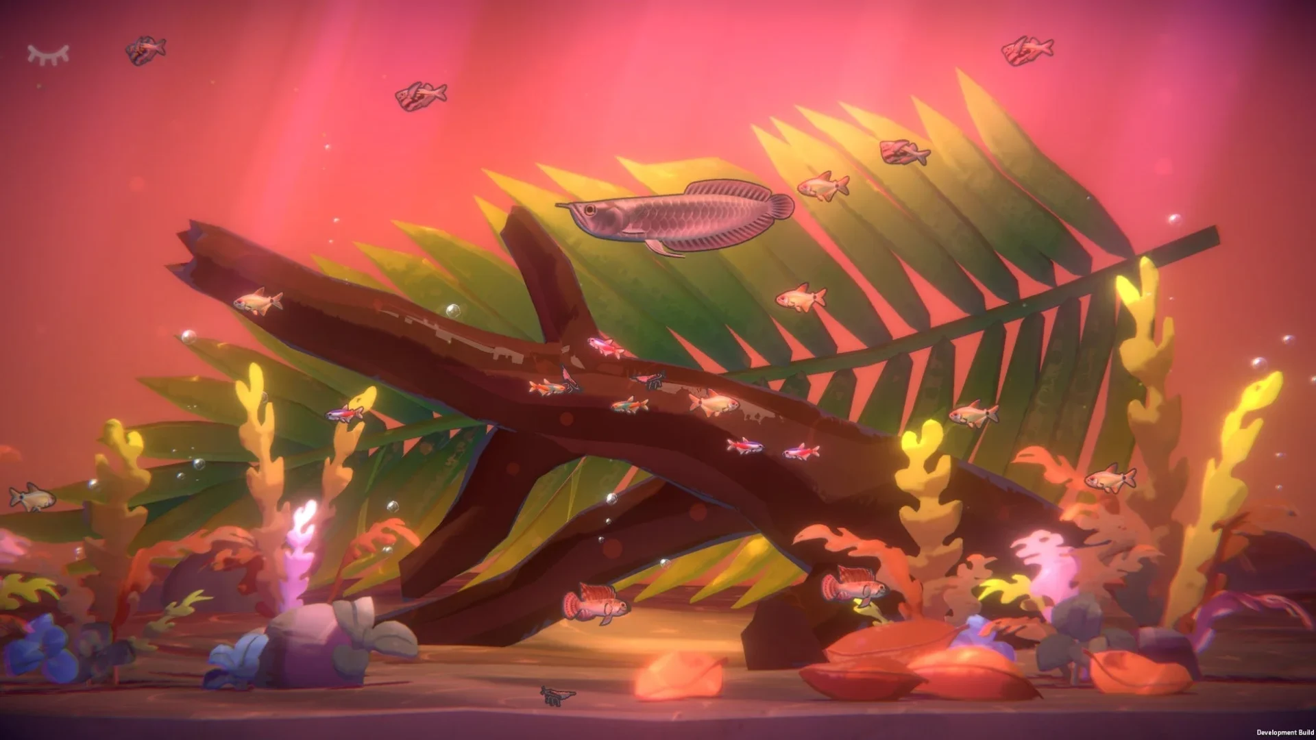 水草と流木が配置された癒やし系の水槽の様子