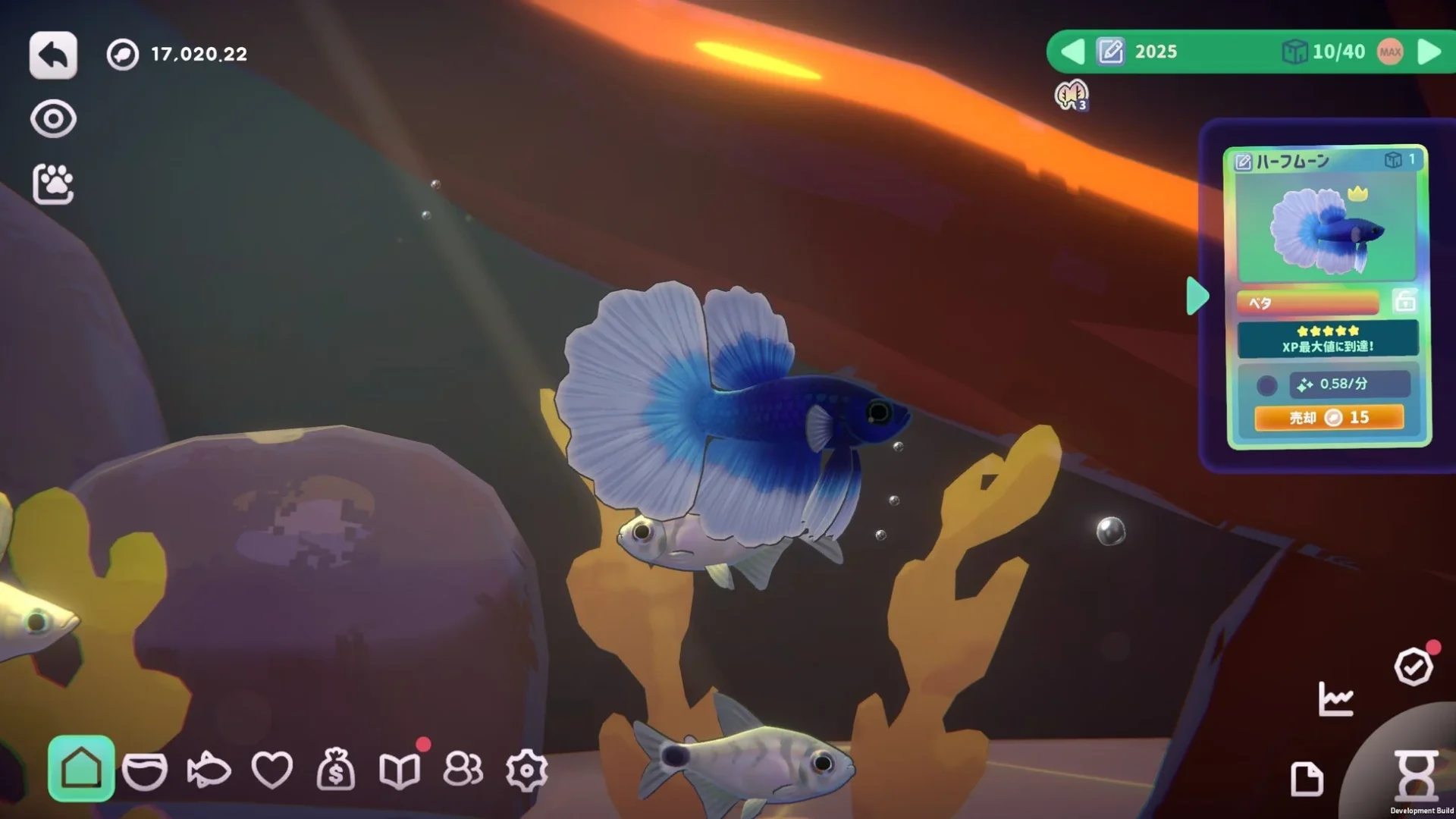 青いベタと、その魚の情報を表示する詳細UI