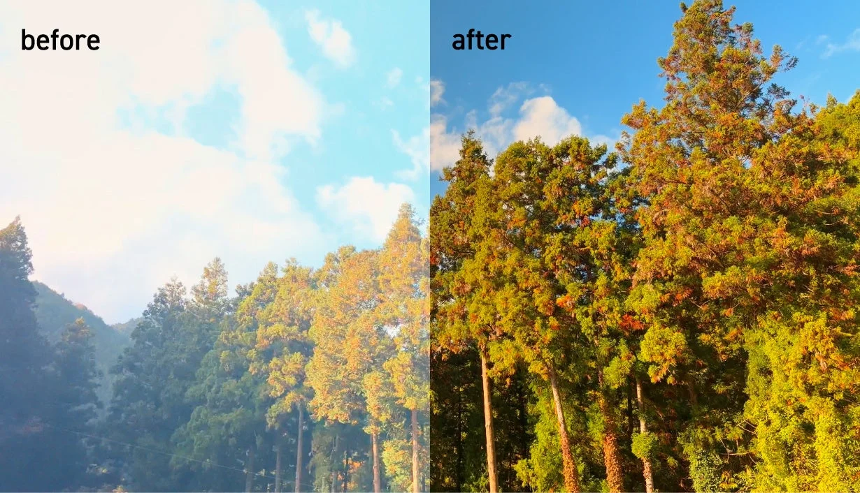 CPLフィルターによる青空と緑のコントラスト強調のBefore/After比較。