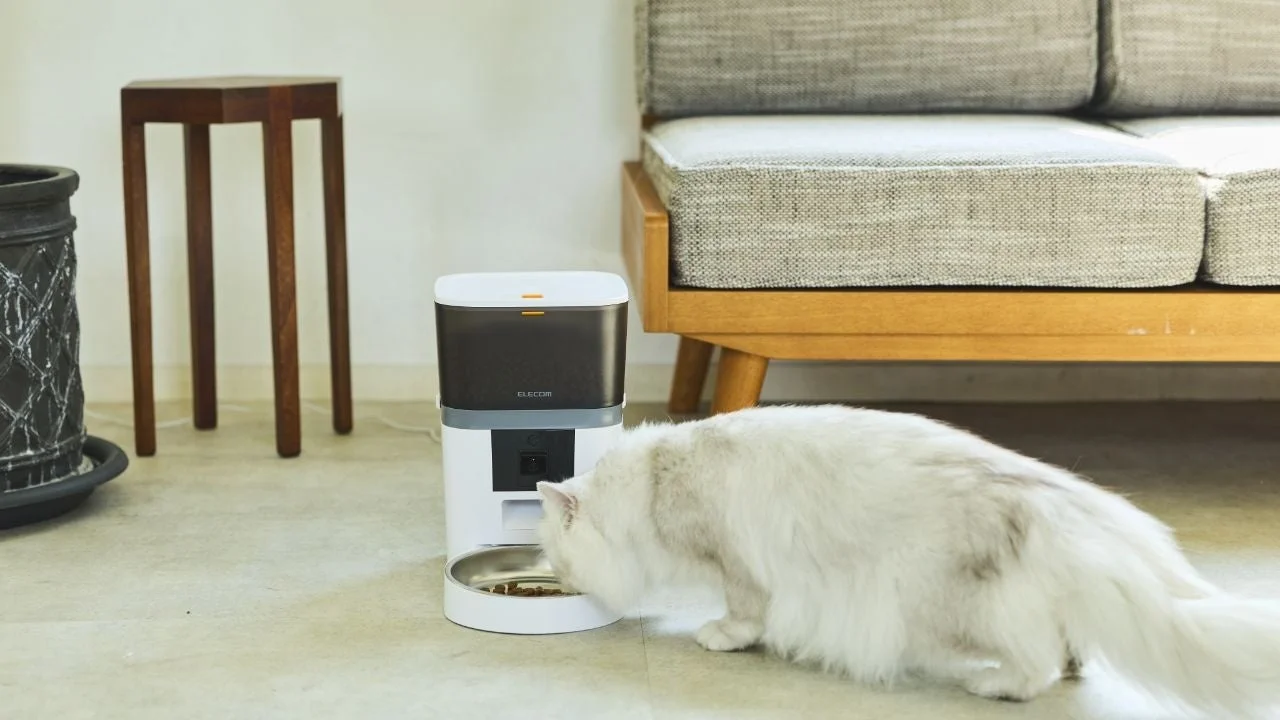 カメラ付き自動給餌器で食事をする愛猫