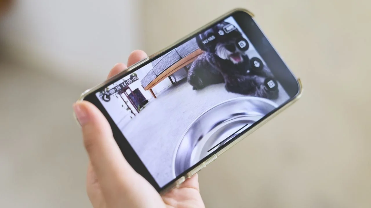 ナイトビジョンモードで愛犬を見守るスマートフォン画面