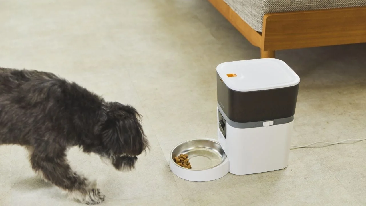 自動給餌器に近づく愛犬、動体検知機能のイメージ