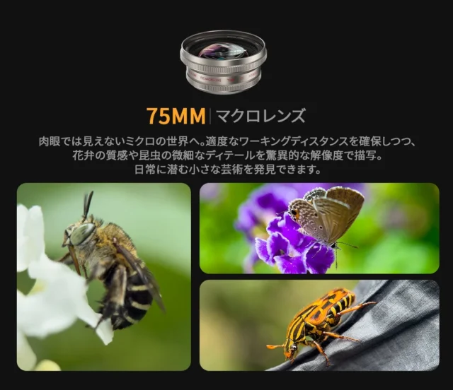 75mmマクロレンズで撮影された昆虫や花のクローズアップ作例