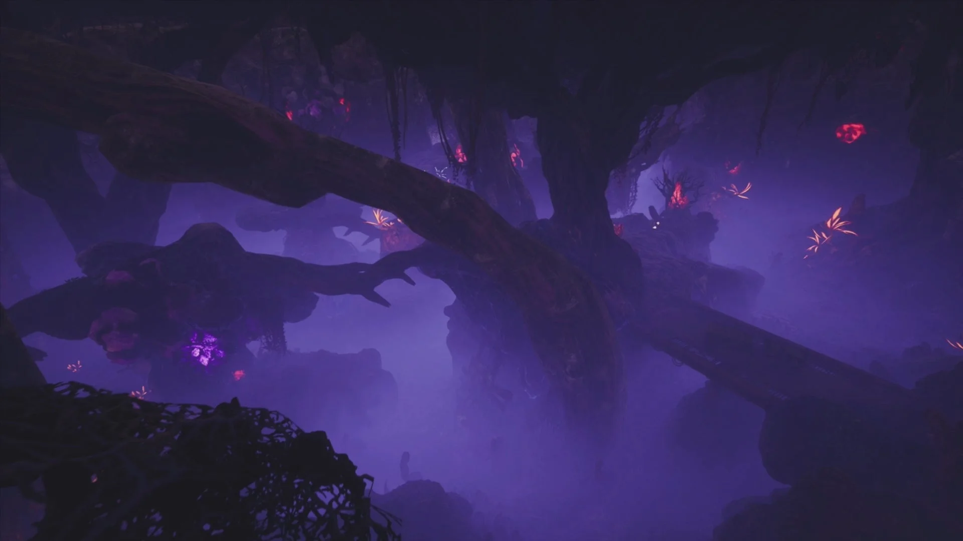 ブルーシスト・スモッグが発生する「汚染森林」内部の様子