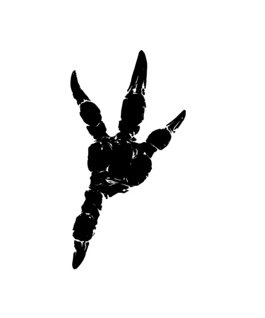 モンスターの等身大足跡の展示イメージ