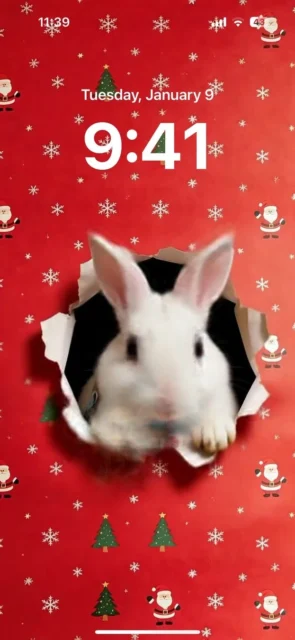うさぎが紙を破って顔を出す瞬間のスマホ壁紙