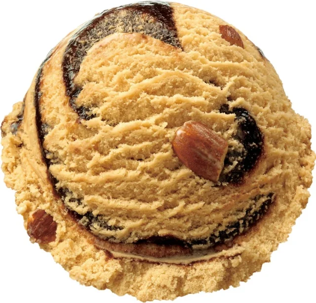 ジャモカアーモンドファッジのスクープアイスクリーム