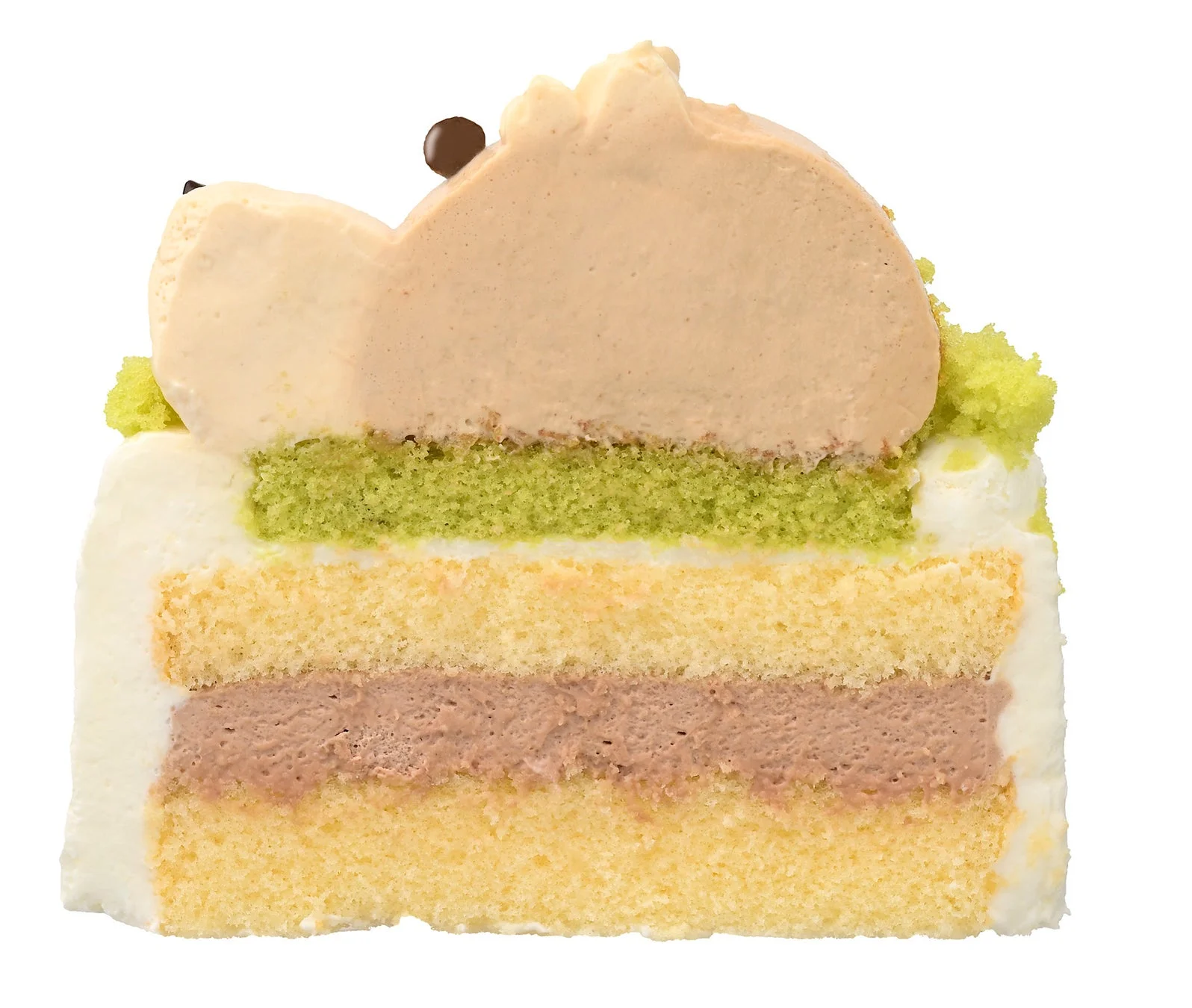 干支のケーキ（午）の断面図、チョコクリームと抹茶スポンジクラムの層