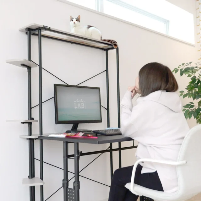 猫タワーラック LCR-1000で猫がくつろぐ傍らで作業する様子
