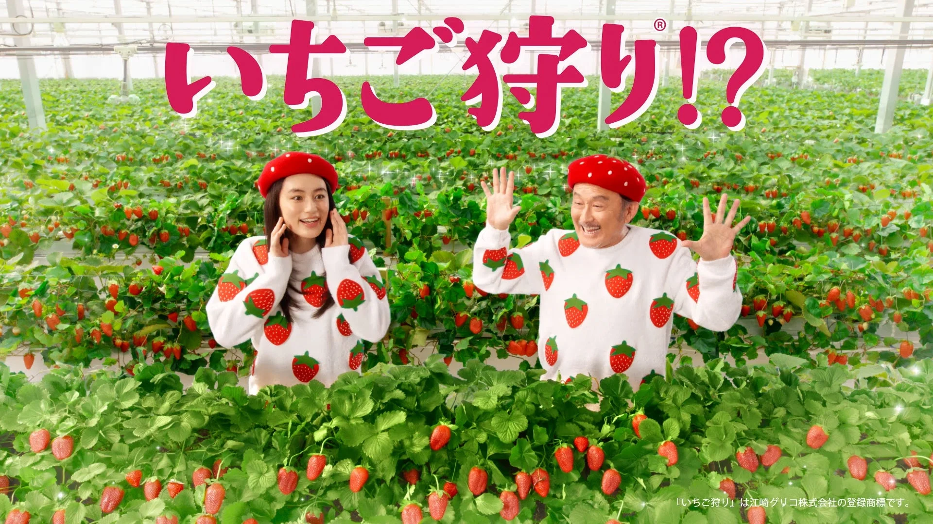 吉田鋼太郎さん、八木莉可子さんがキュートな衣装でいちご狩り！　ファミマの「白をまとったいちご狩り®」1月6日より開始