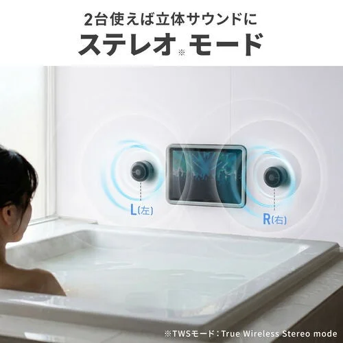 2台のスピーカーを接続してステレオサウンドを楽しむ様子