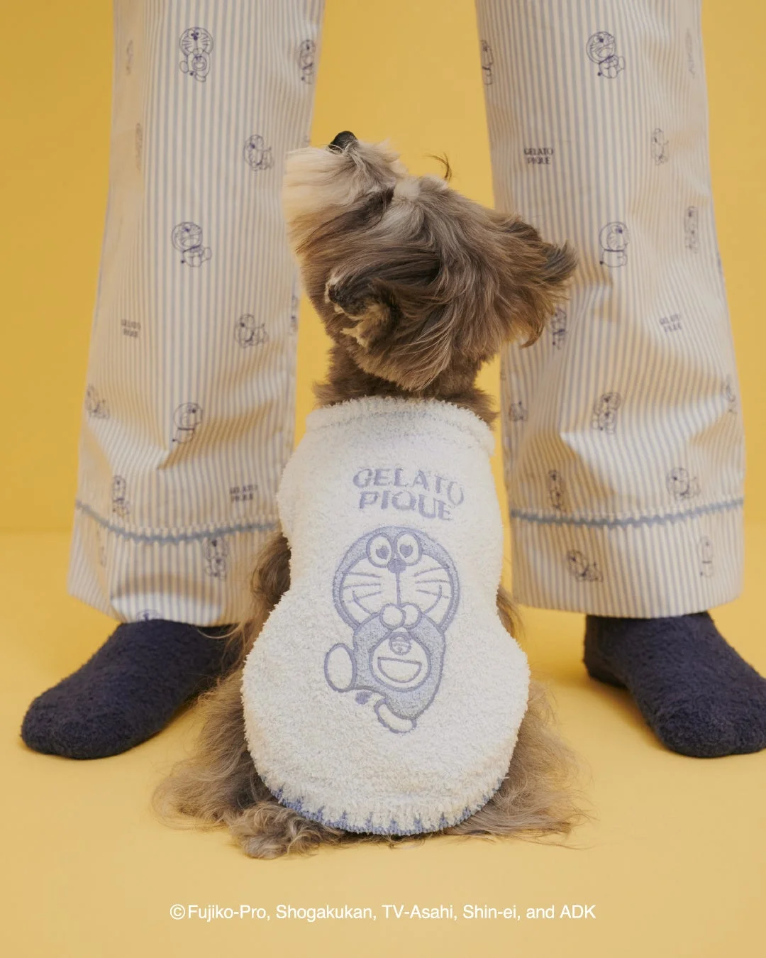 ドラえもんのベビモコプルオーバーを着たシュナウザー