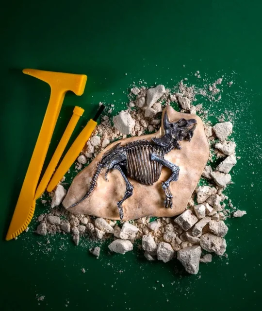 『学研の科学 恐竜化石発掘キット』で発掘途中のトリケラトプスの化石模型と道具。