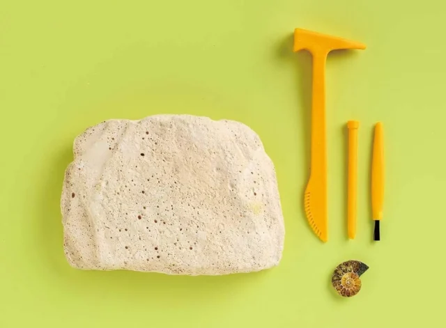 『学研の科学 恐竜化石発掘キット』の内容物一式。発掘ブロック、ツール、アンモナイト化石。