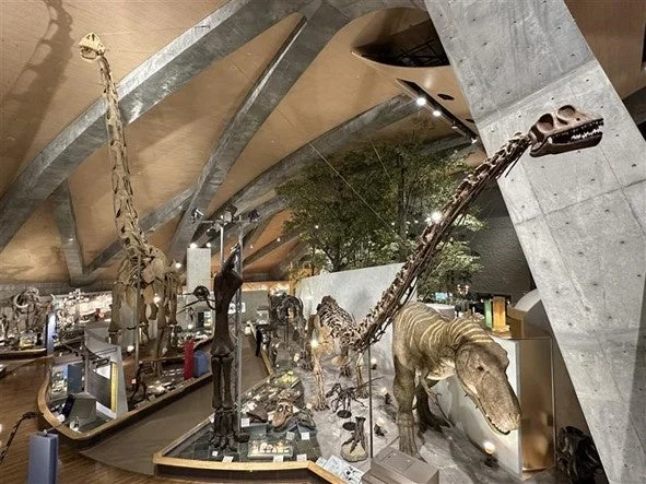 群馬県立自然史博物館の恐竜展示室。巨大な全身骨格などが並ぶ。