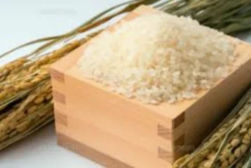 プレゼントキャンペーン賞品の霧島米ひのひかり