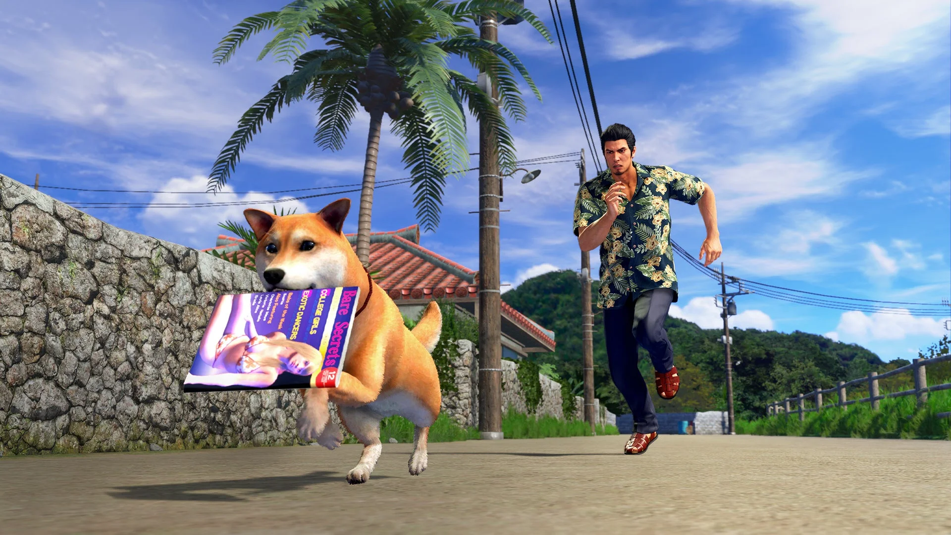 犬のマメが「オトナの本」を咥えて逃げ、桐生が追いかける