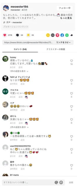 Meowster公式TikTokに寄せられたユーザーコメント