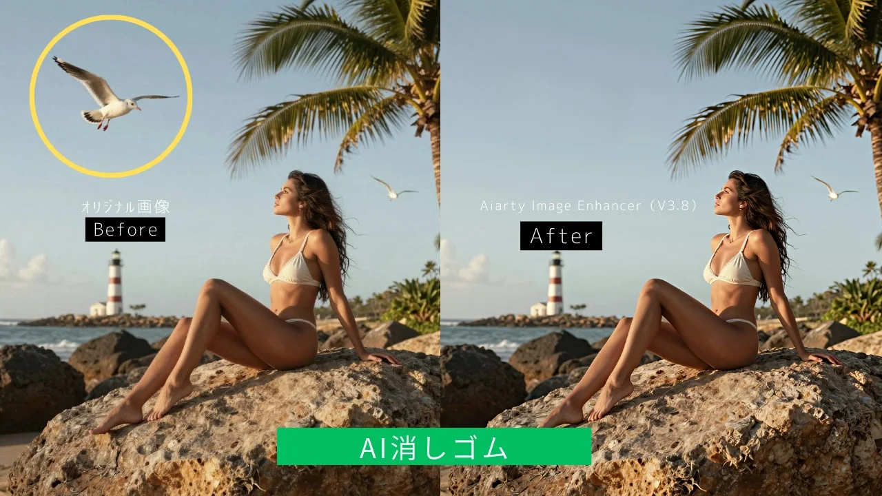 Aiarty Image Enhancer V3.8でAI消しゴム機能を使って不要なカモメを除去した写真のBefore/After