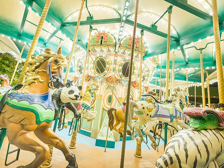 東京ドームシティ アトラクションズのヴィーナスラグーン