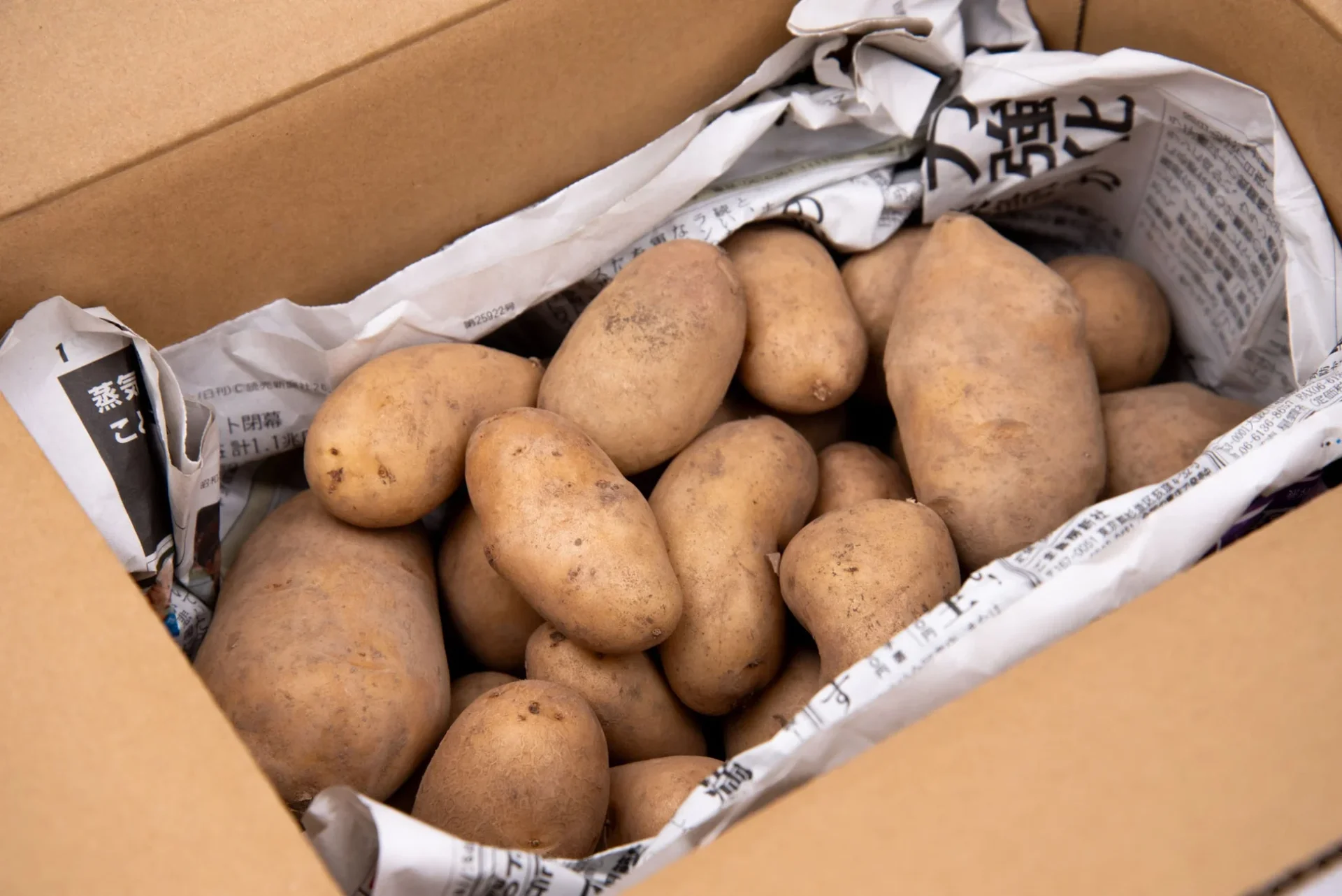 段ボール箱に新聞紙と一緒に入った規格外のじゃがいも