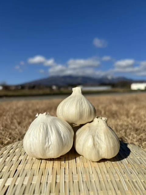 畑の前に置かれた山梨県八ヶ岳地域産の有機ニンニク