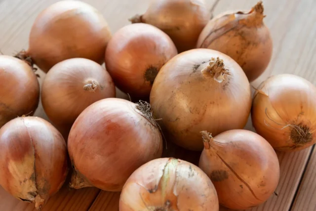 木のテーブルに置かれた見た目にばらつきのある規格外のたまねぎ