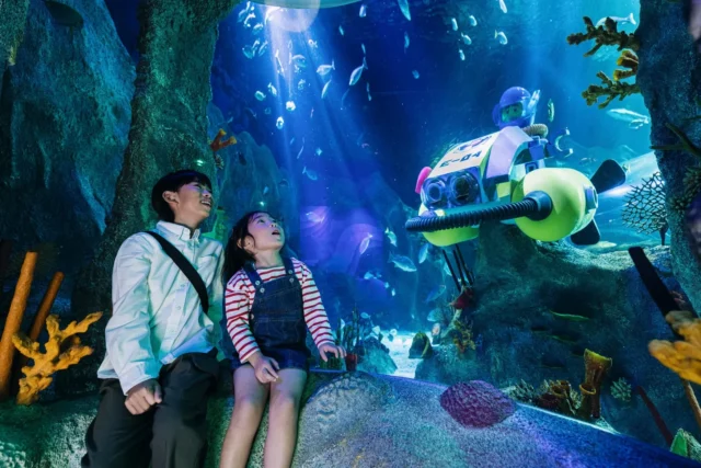 水族館のレゴモデルと魚たちを見る親子
