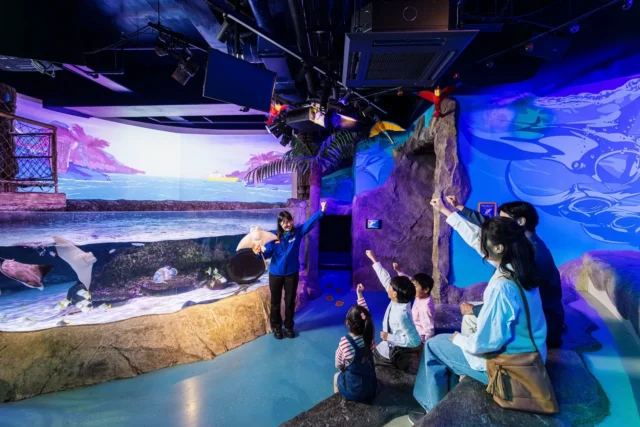 飼育員によるエイの解説と子供たちの様子