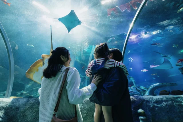 水槽のエイや魚たちを見る家族