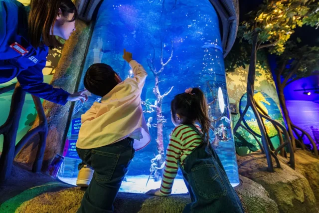 飼育員と水槽の魚を観察する子供たち