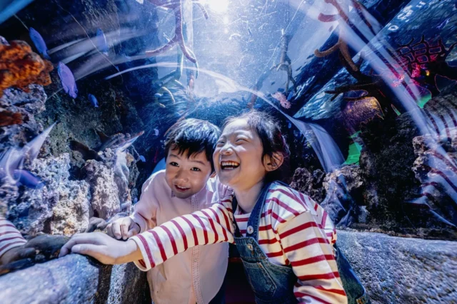 水族館の展示に笑顔を見せる子供たち