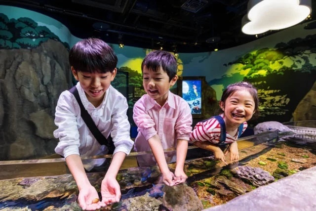 水族館で海の生き物と触れ合う子供たち