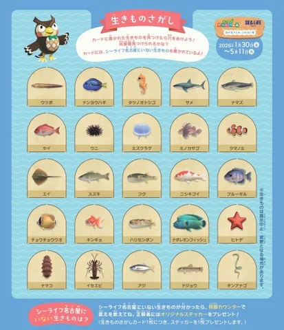 「生きものさがし」カードの表面デザイン