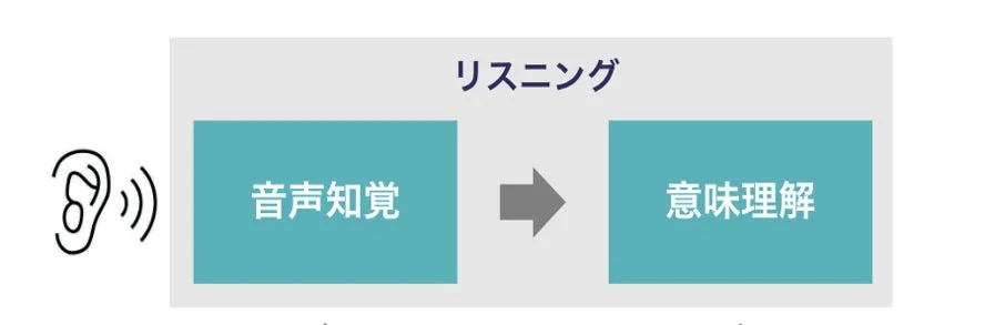 リスニングの構造を示す図（音声知覚から意味理解へ）