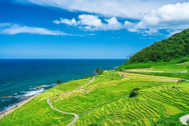 海へと連なる石川県輪島市の美しい白米千枚田の風景