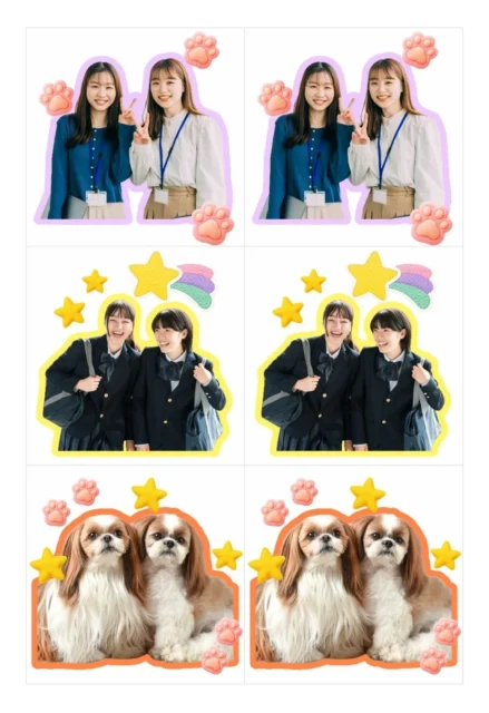 アプリで作成したフレークシール6分割の完成イメージ