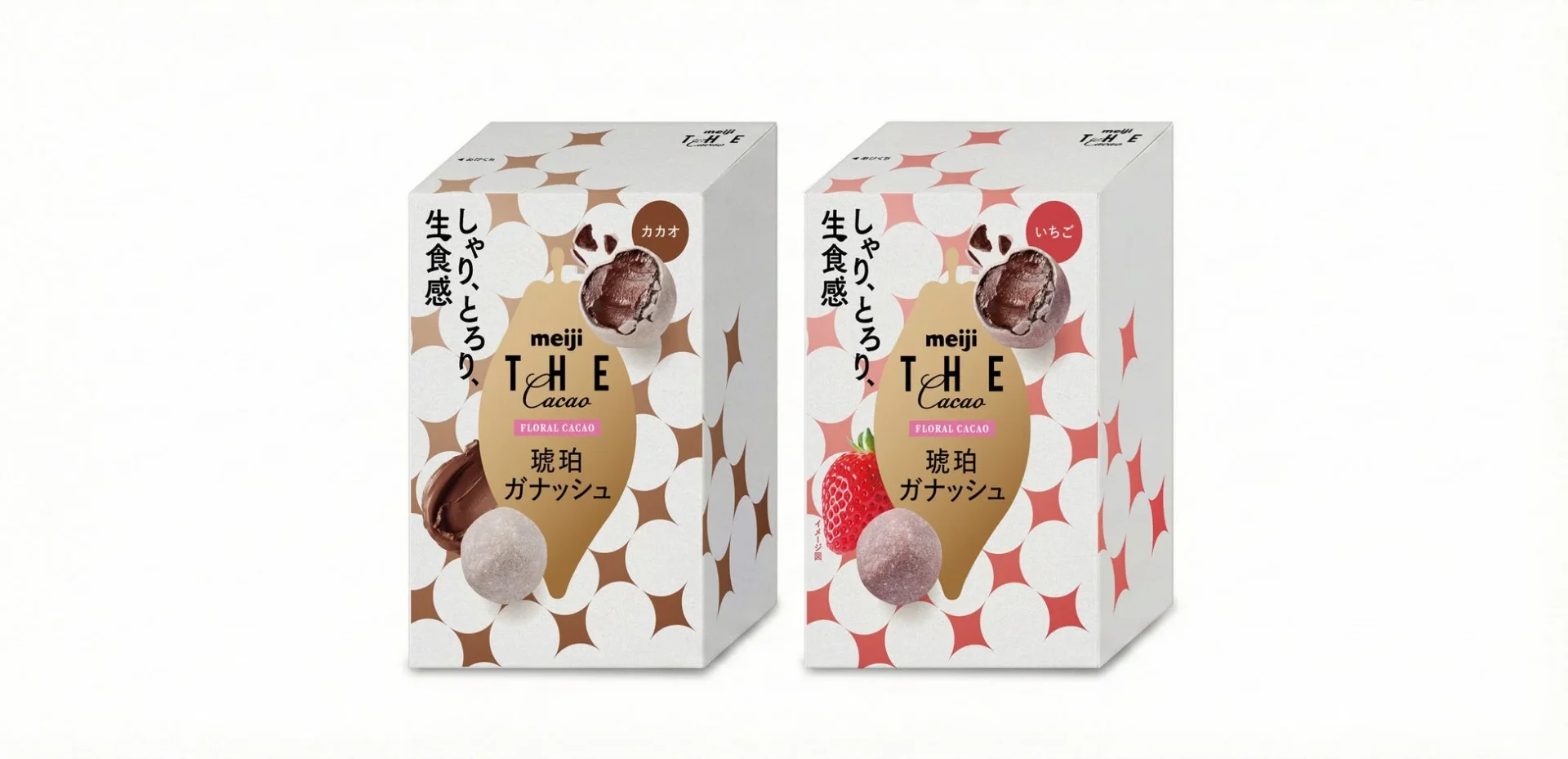 「琥珀ガナッシュ」カカオといちごのパッケージ