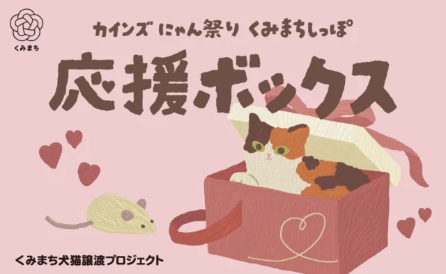 カインズ「くみまちしっぽ応援ボックス」のバレンニャインイラスト