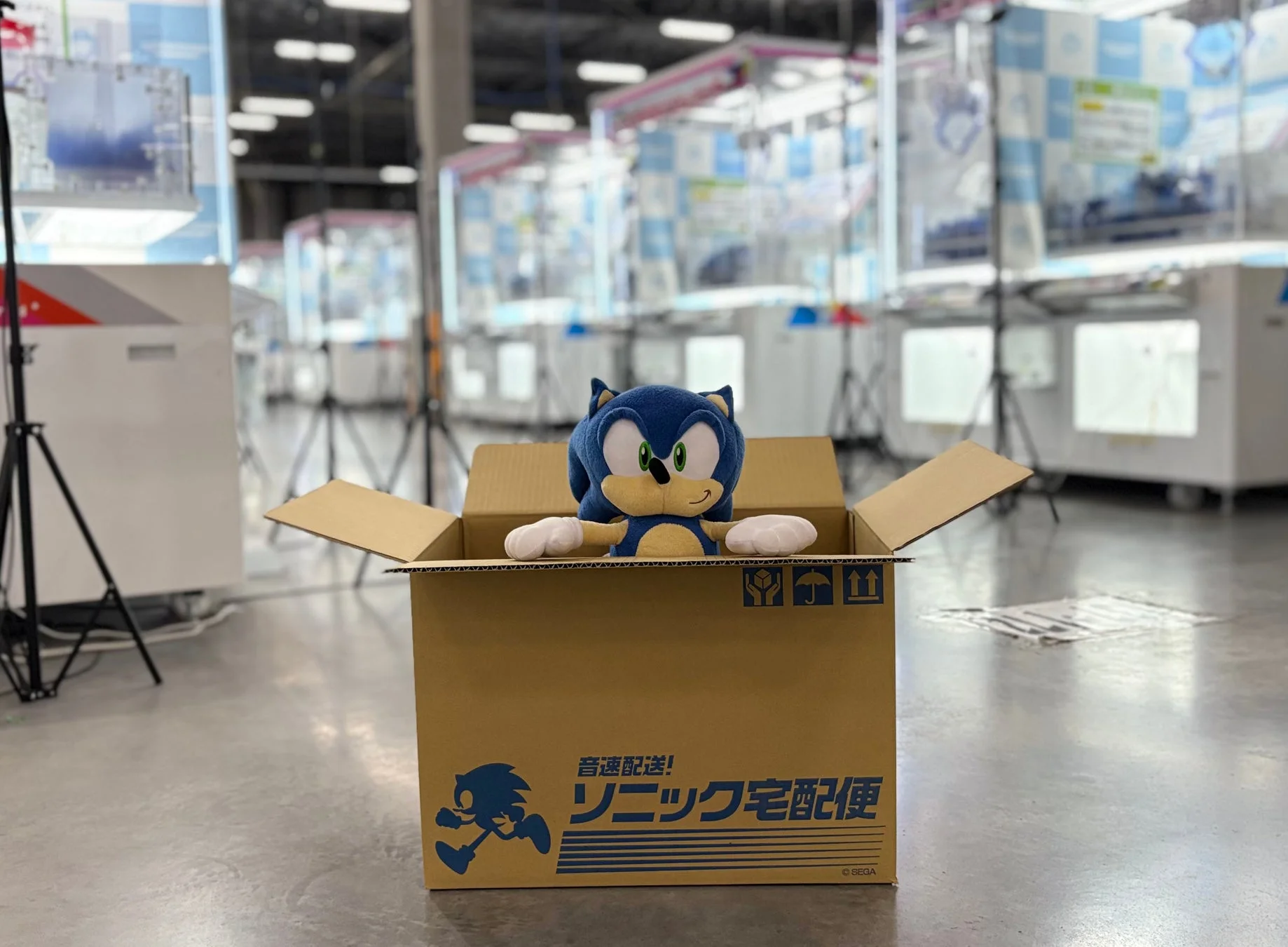ソニック便の梱包箱に入ったソニックのぬいぐるみ