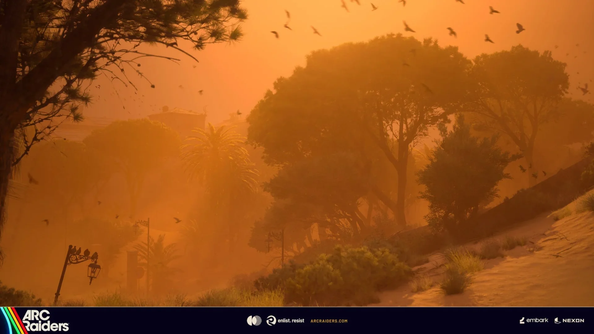 夕焼けに染まる荒野と木々を飛ぶ鳥の群れ