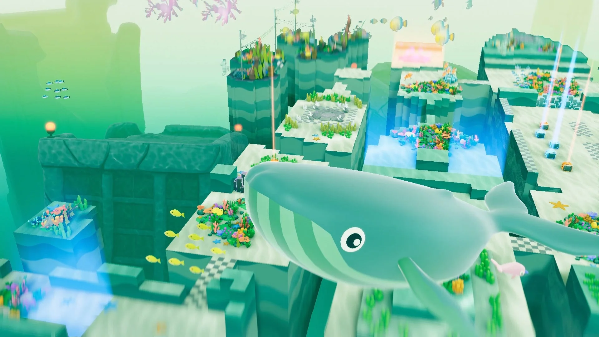 ゲーム内に登場する鑑賞生物のクジラ