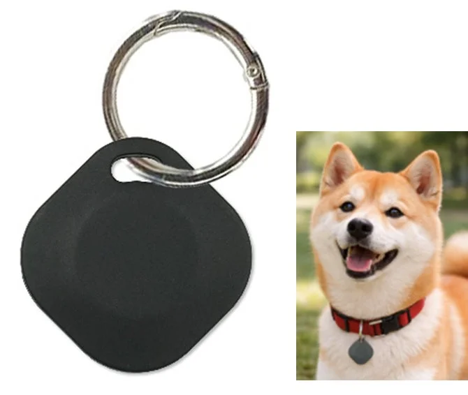 ヤマダオリジナル タグ型スマートファインダーとペットに装着された使用例