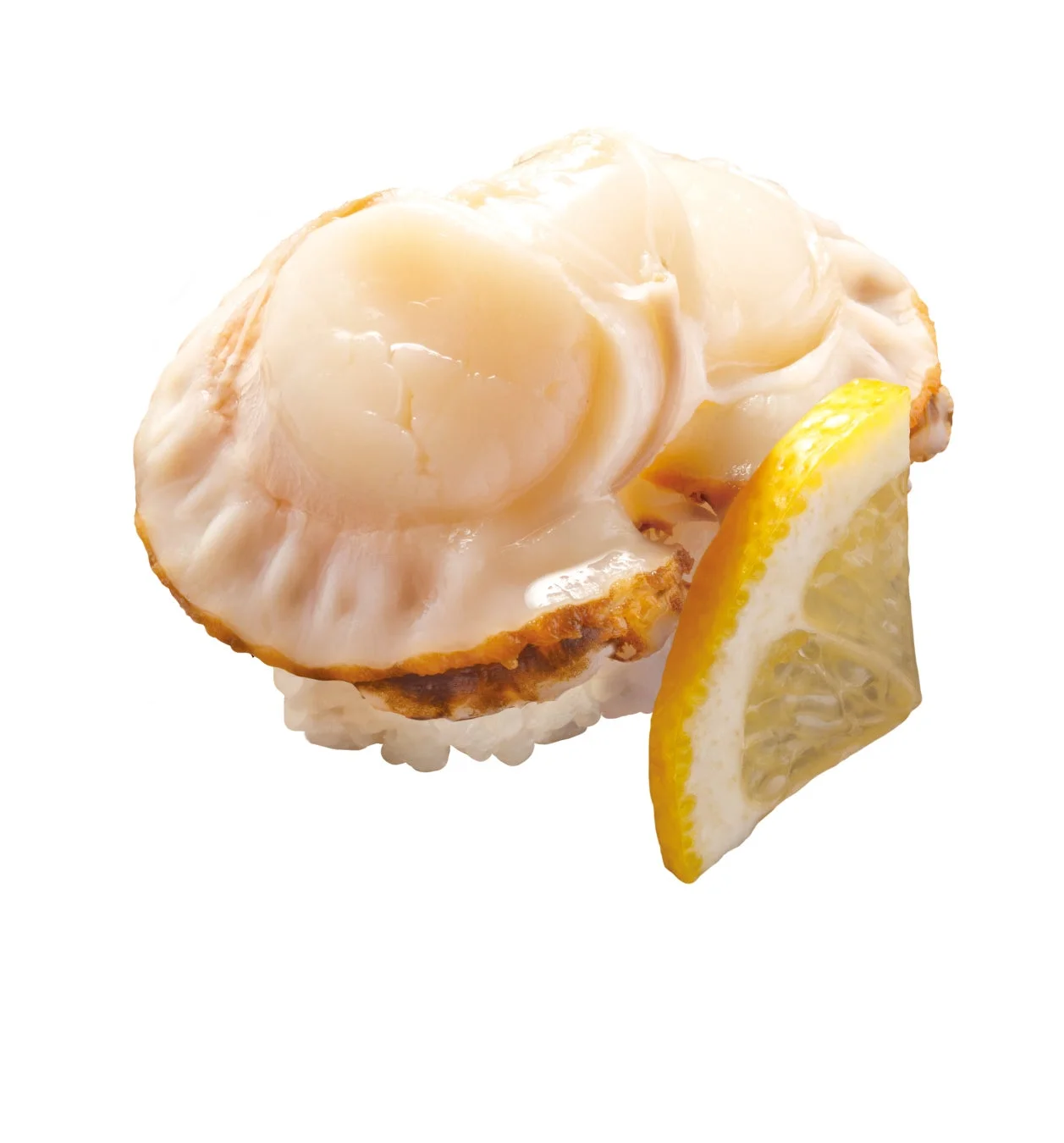 青森県産大粒蒸しほたての握り