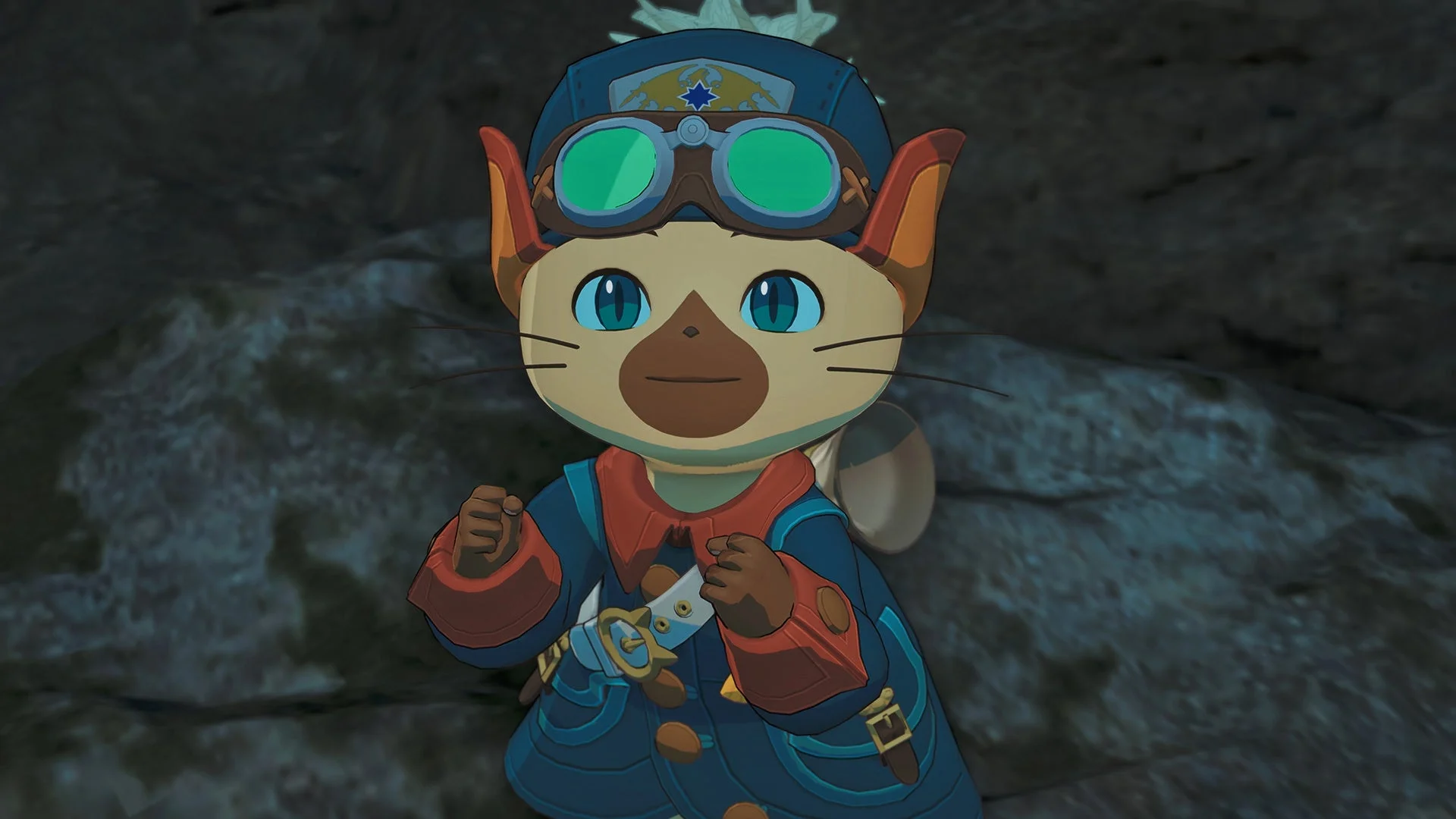 ロイヤルアイルー「ルディ」のアップ