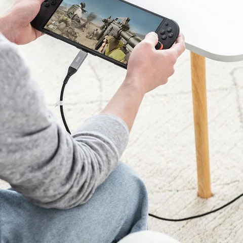 Type-C LAN変換ケーブルでポータブルゲーム機を使いオンラインゲームをしている様子