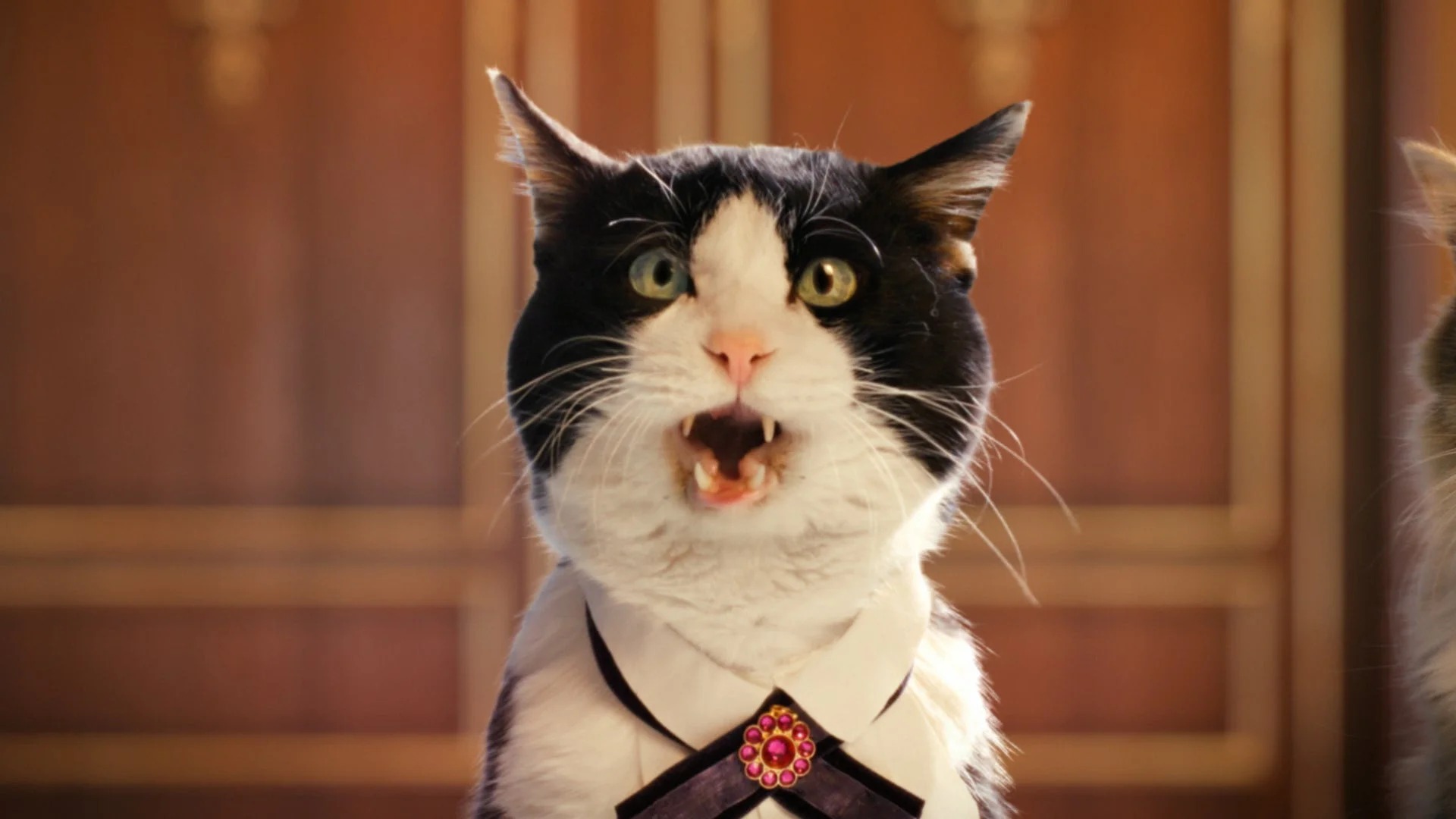 「プリンセスコネクト!Re:Dive」8周年CMで驚く美食殿の猫