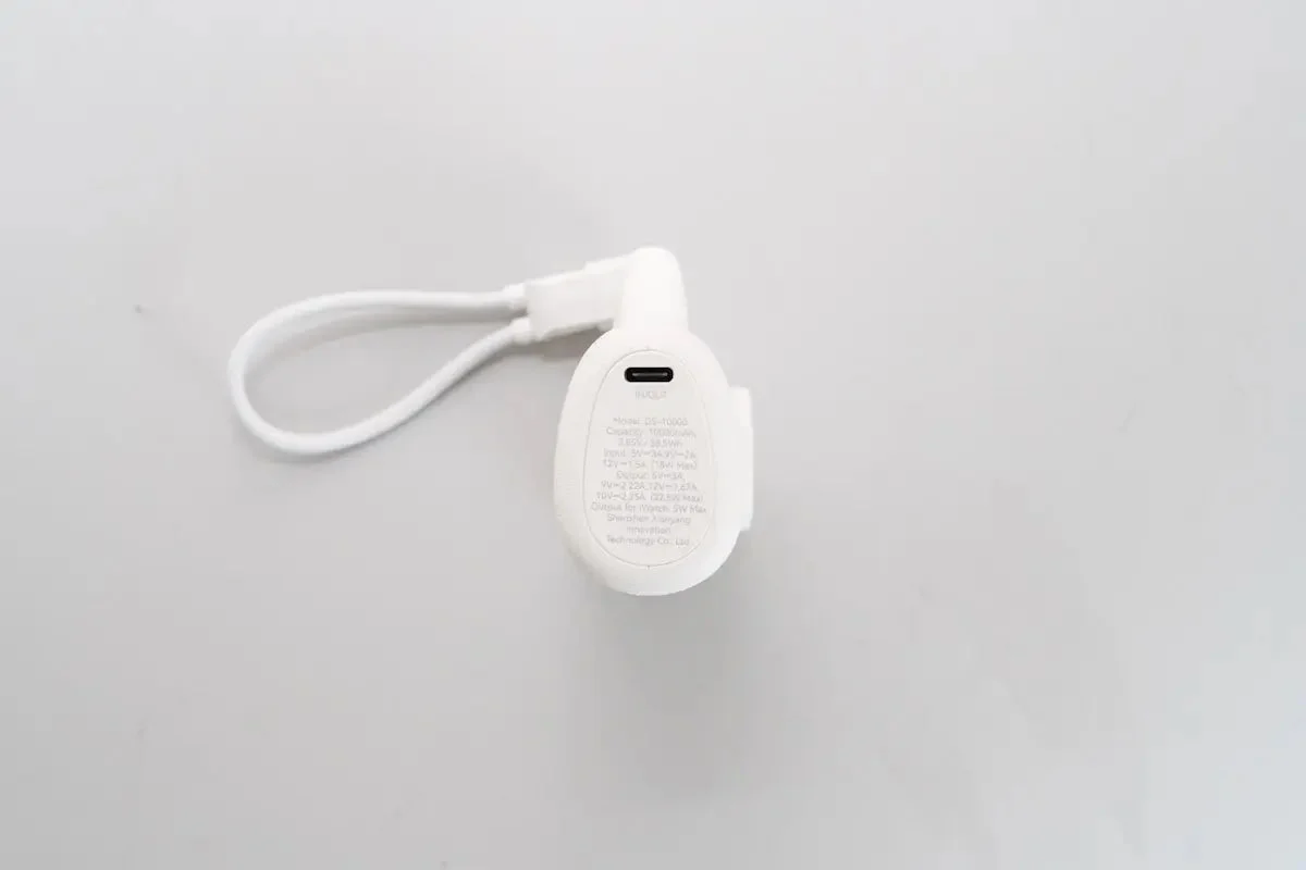 RORRY PalmGO D5-10000の側面にある入出力用USB-Cポート